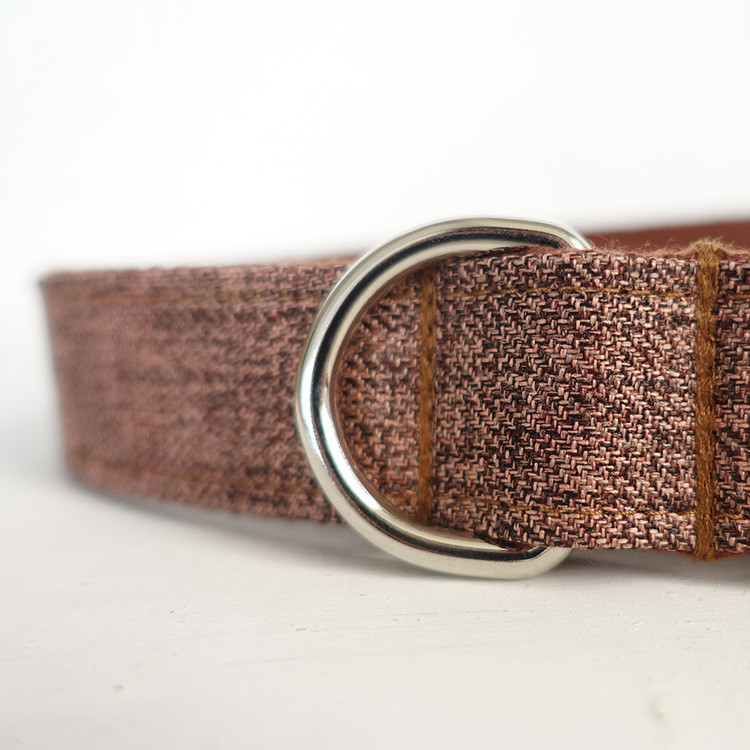 Dog Traction Collar 1