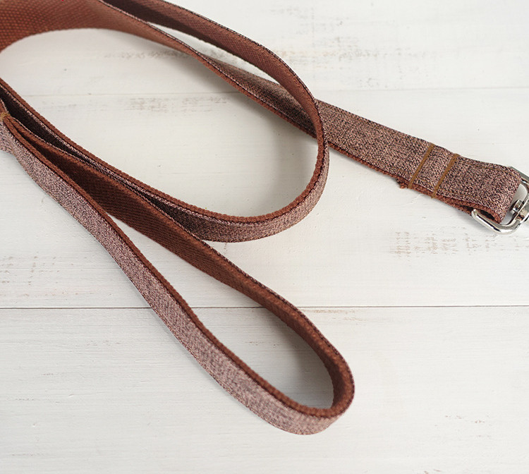 Dog Traction Collar 6