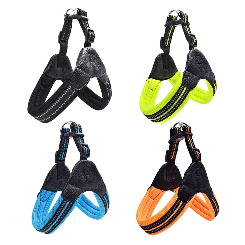 Various colors of Reflective Leash