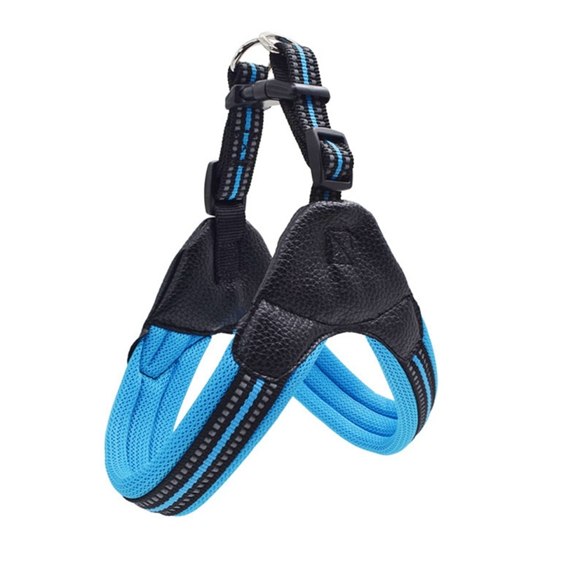 Different sizes of Reflective Leash