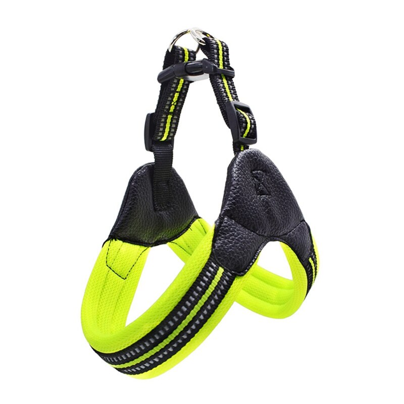 Reflective Leash for small dogs