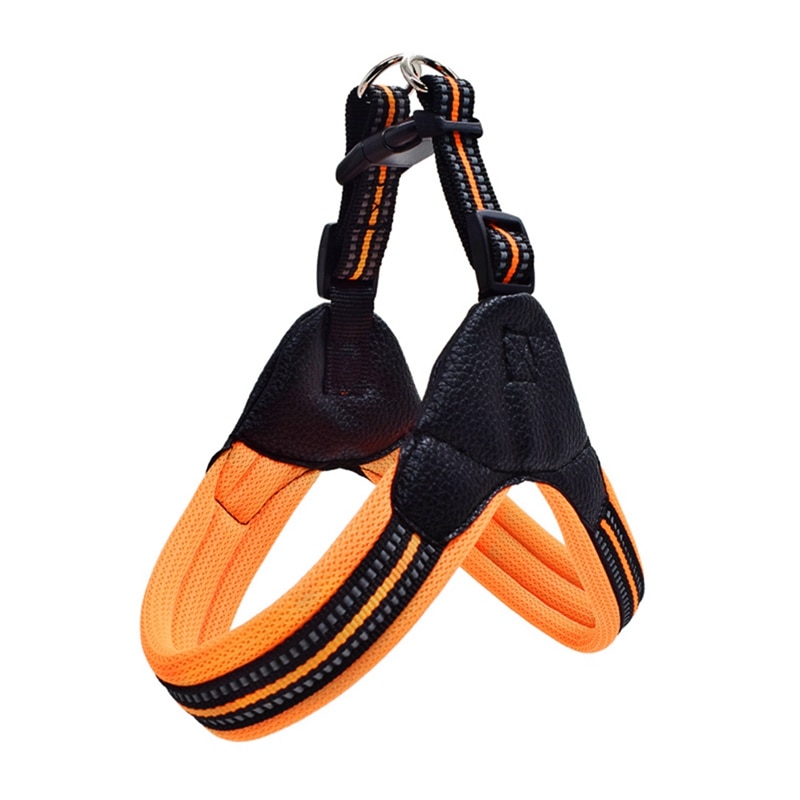 Reflective Leash display