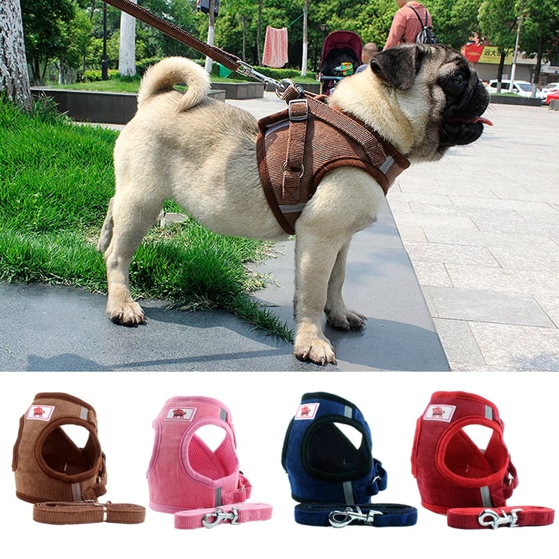 Dog Chain Chest Strap 1