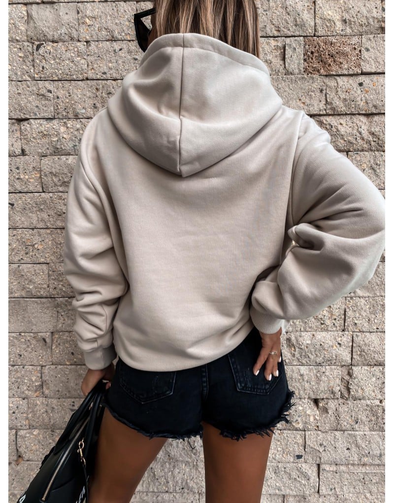 Hoodie in Color Pink