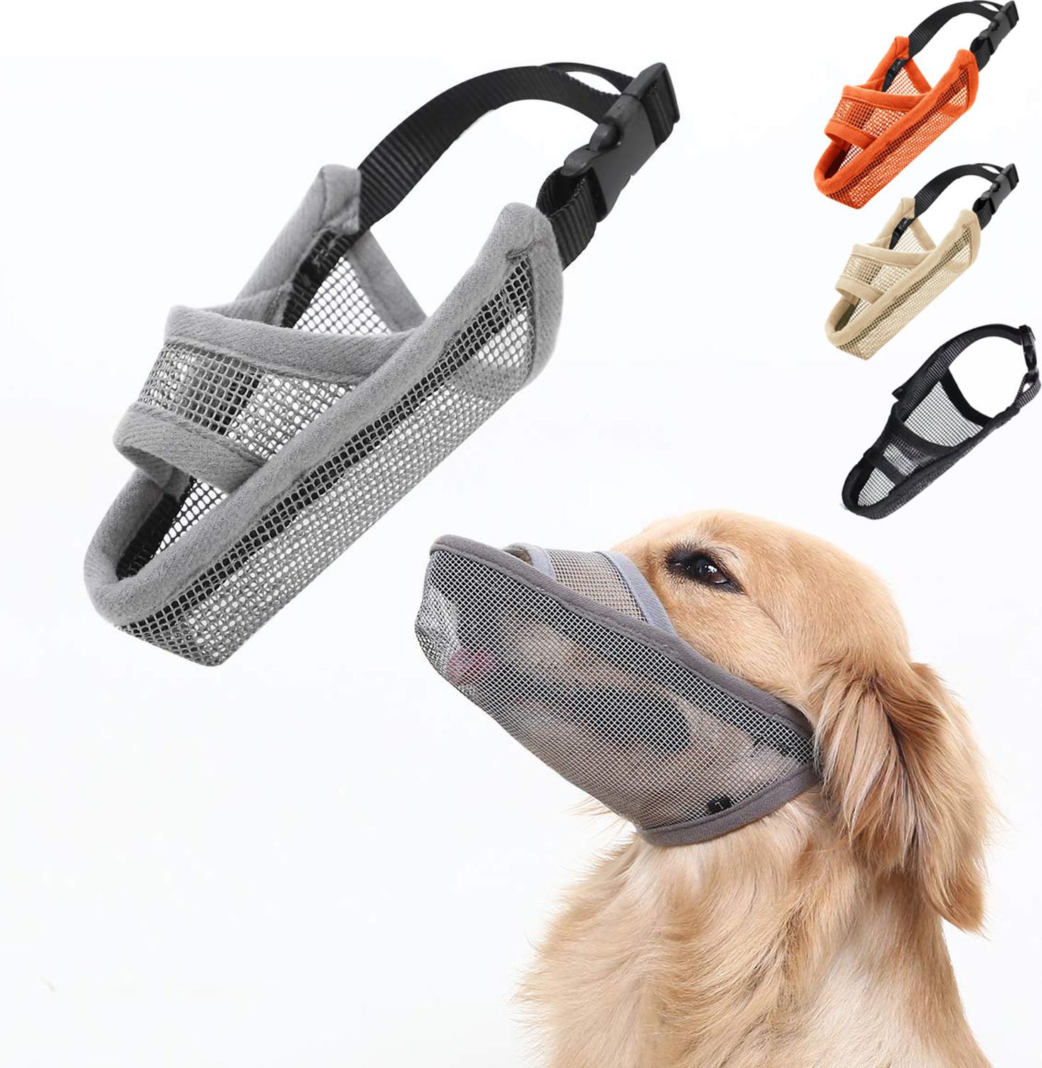 Golden Retriever Husky Mask Variation
