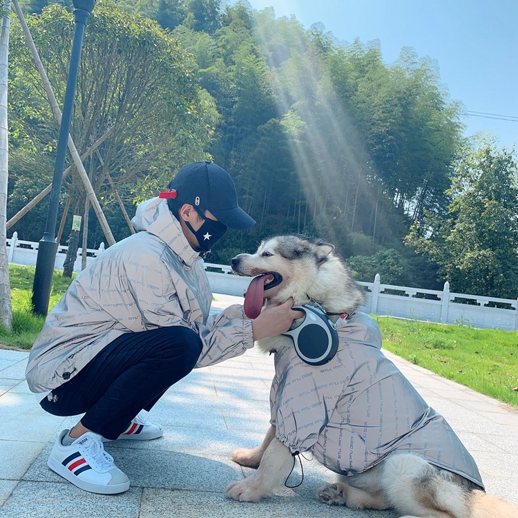 Windbreaker Image 5
